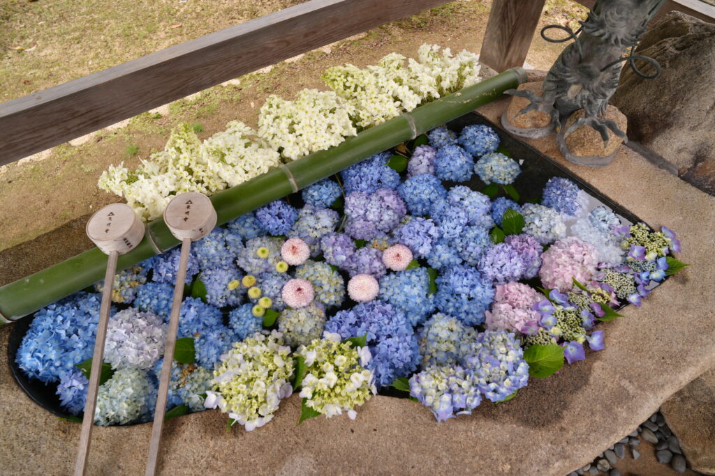 花手水舎に込めた願い